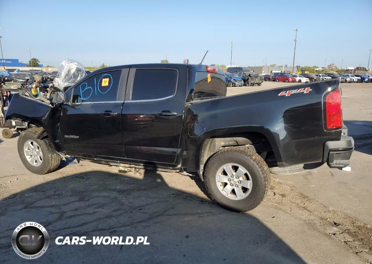 2019 Chevrolet Colorado VIN:1GCGTBEN2K1224132 - 2