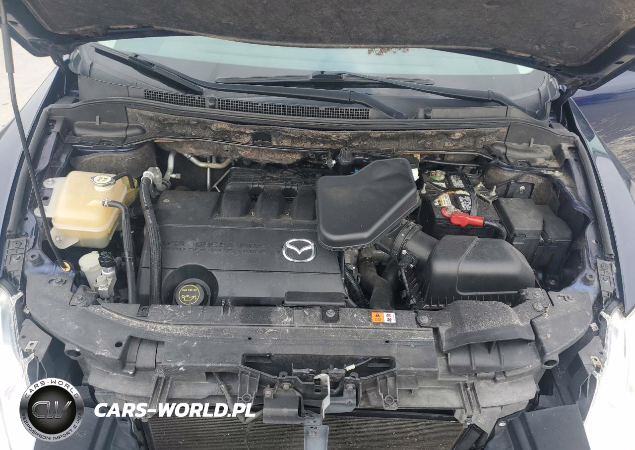 2010 Mazda Cx-9 VIN:JM3TB2MA6A0237848 - 12