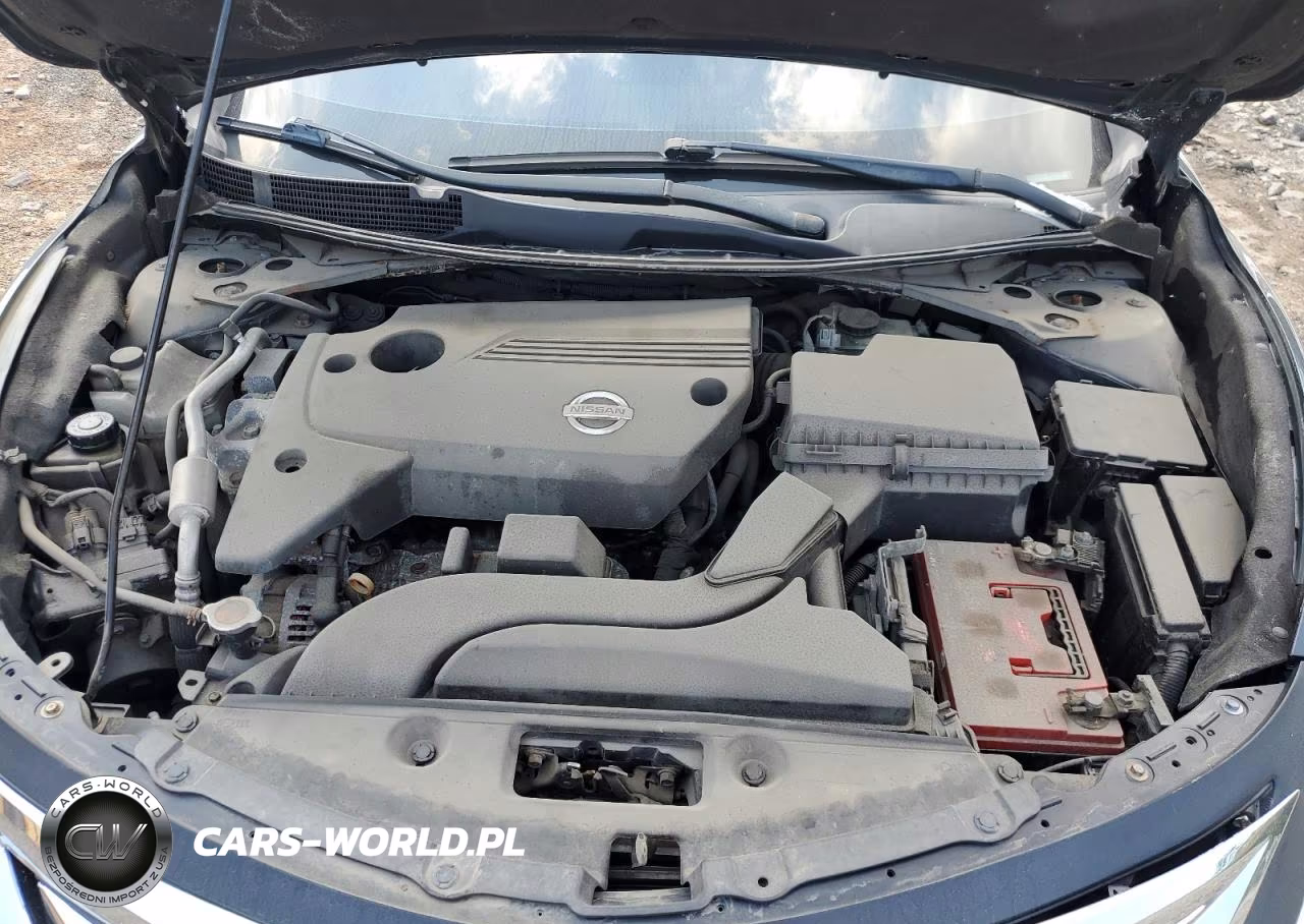 NISSAN ALTIMA VIN:1N4AL3AP5EC421202 - 11