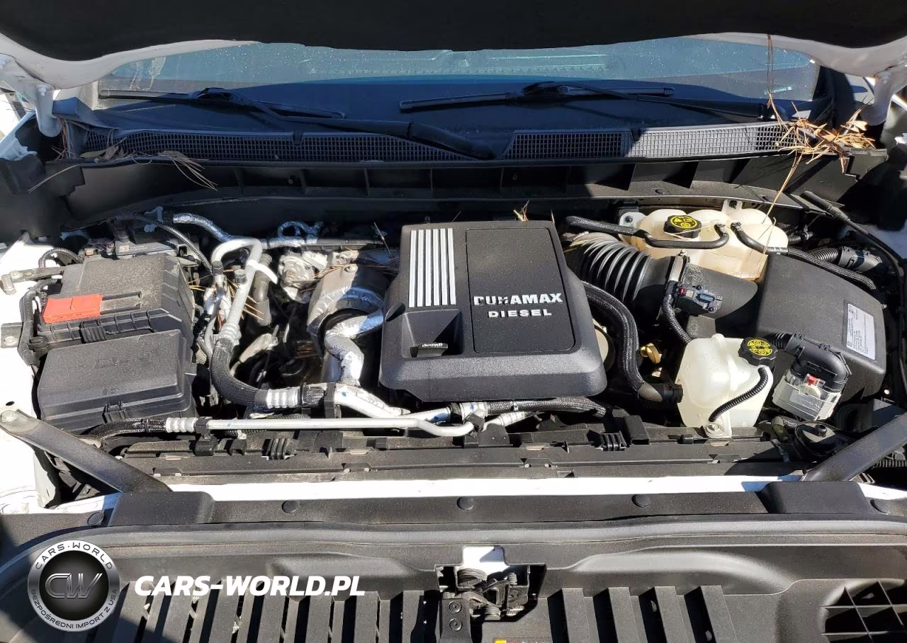 CHEVROLET SILVERADO VIN:3GCUYDET3LG406651 - 11