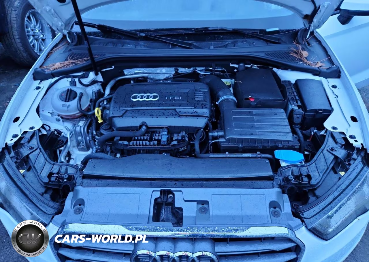 2016 Audi A3 Premium VIN:WAUA7GFF5G1036675 - 11