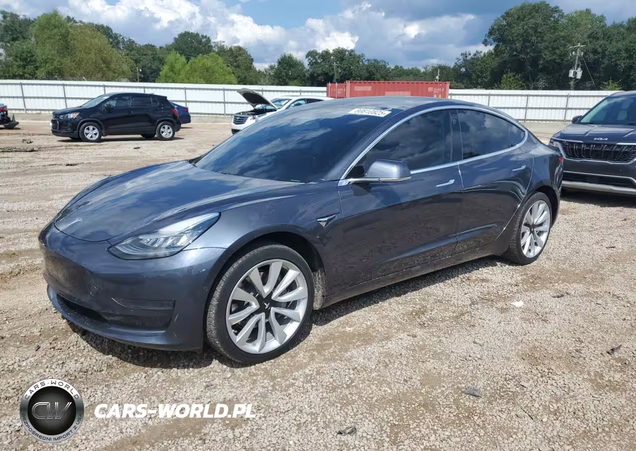 2019 Tesla Model 3