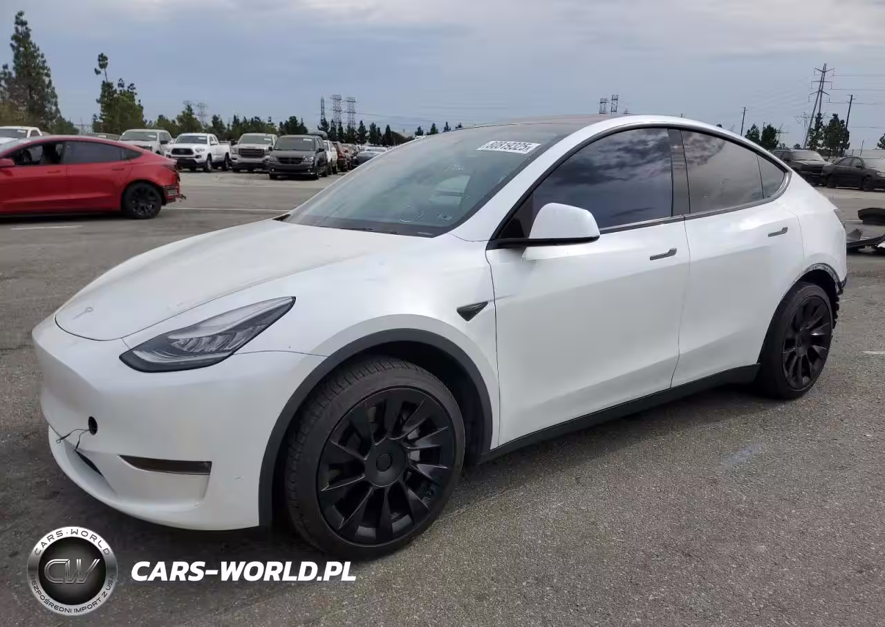 2020 Tesla Model Y