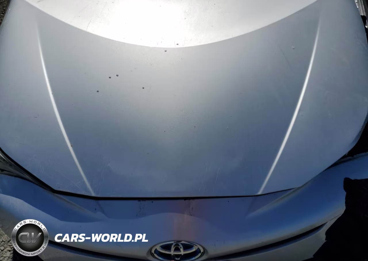2016 Toyota Prius VIN:JTDKARFUXG3023041 - 11