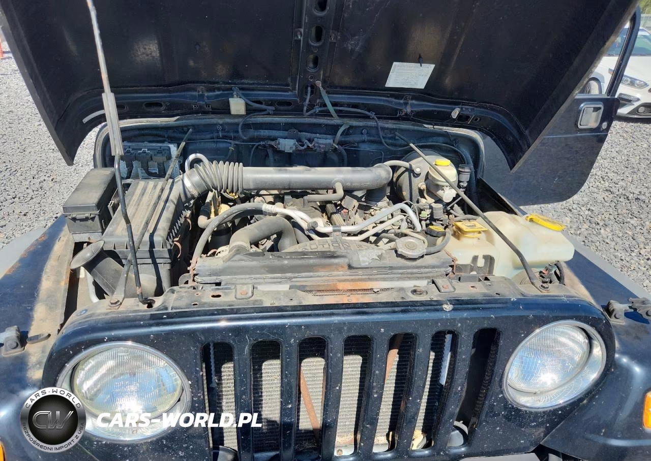 2004 Jeep Wrangler - Tj Sport VIN:1J4FA49S14P757130 - 11