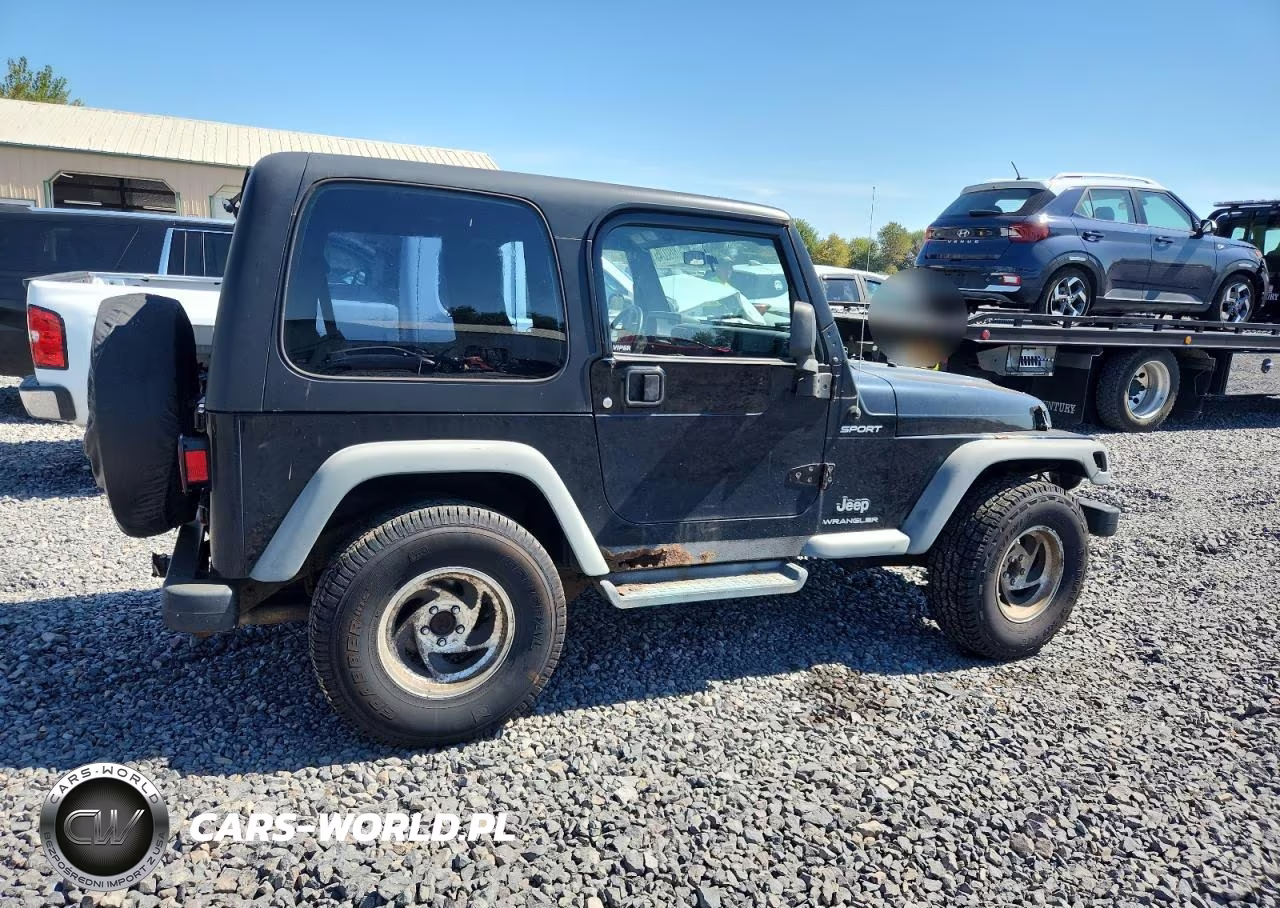 2004 Jeep Wrangler - Tj Sport VIN:1J4FA49S14P757130 - 3