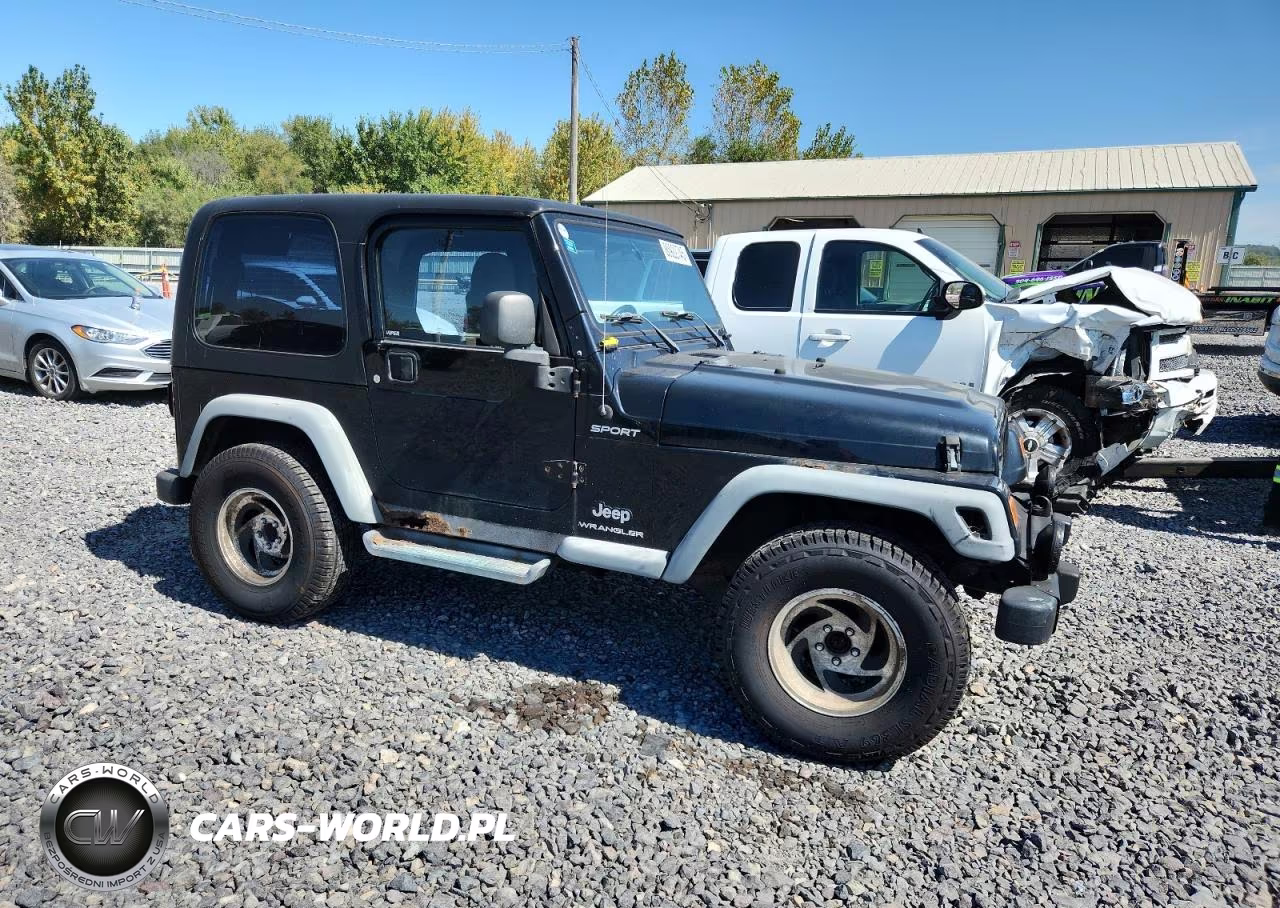 2004 Jeep Wrangler - Tj Sport VIN:1J4FA49S14P757130 - 4