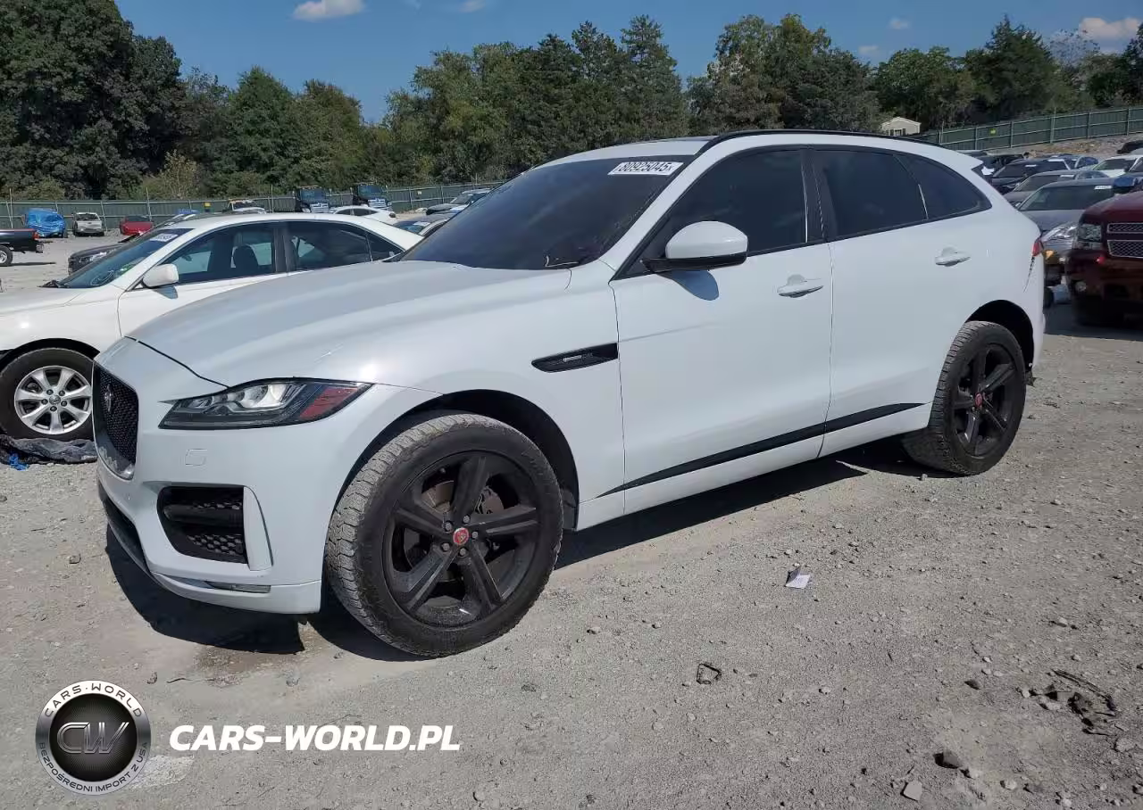 JAGUAR