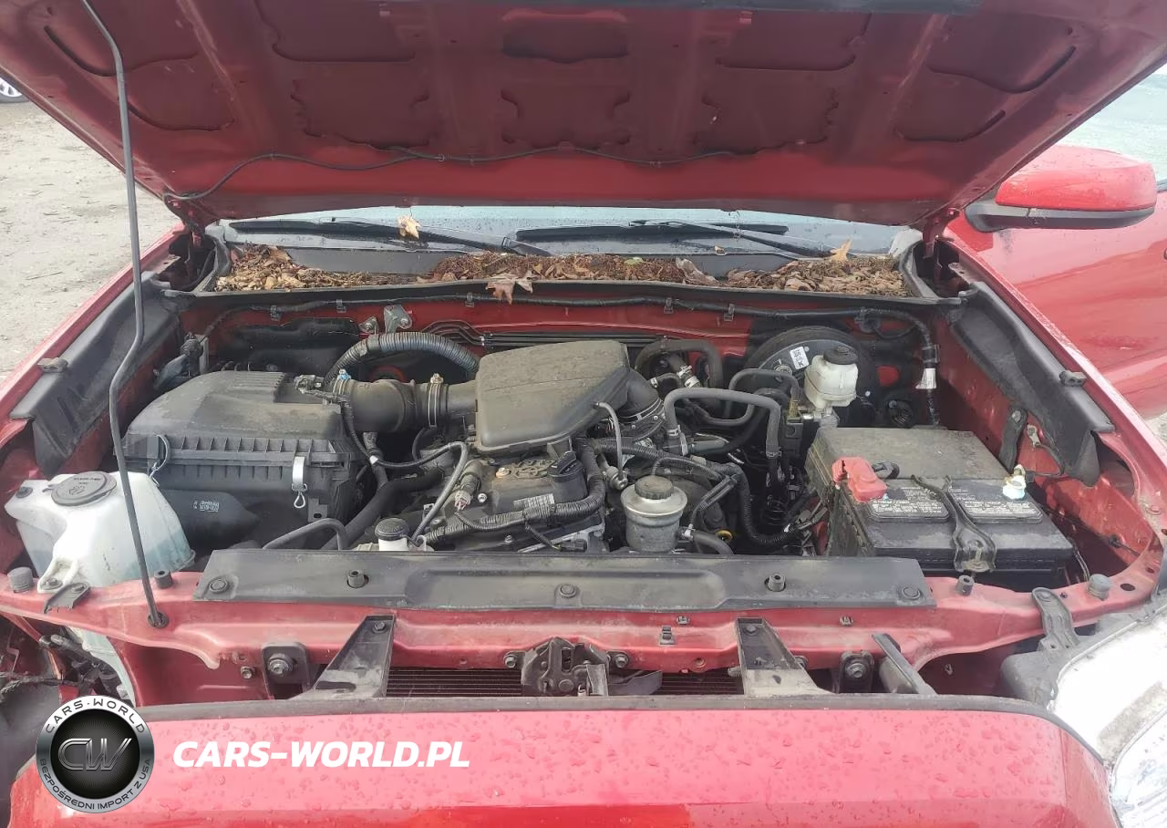 2019 Toyota Tacoma Double Cab VIN:5TFAX5GN3KX161953 - 11