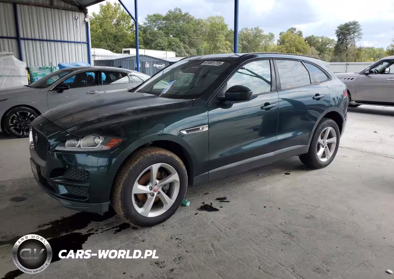 JAGUAR