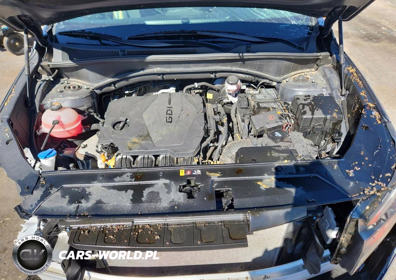 2022 Hyundai Santa Fe Sel VIN:5NMS2DAJ9NH409073 - 12