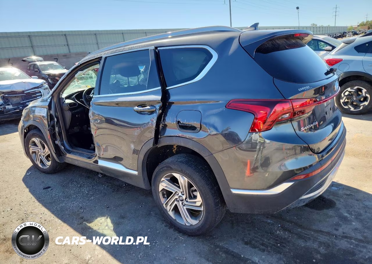 2022 Hyundai Santa Fe Sel VIN:5NMS2DAJ9NH409073 - 2