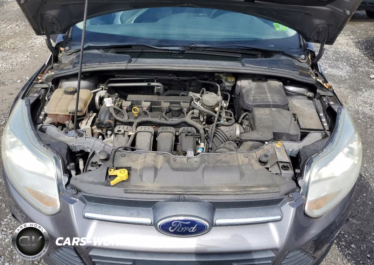 2014 Ford Focus Se VIN:1FADP3F2XEL244631 - 11