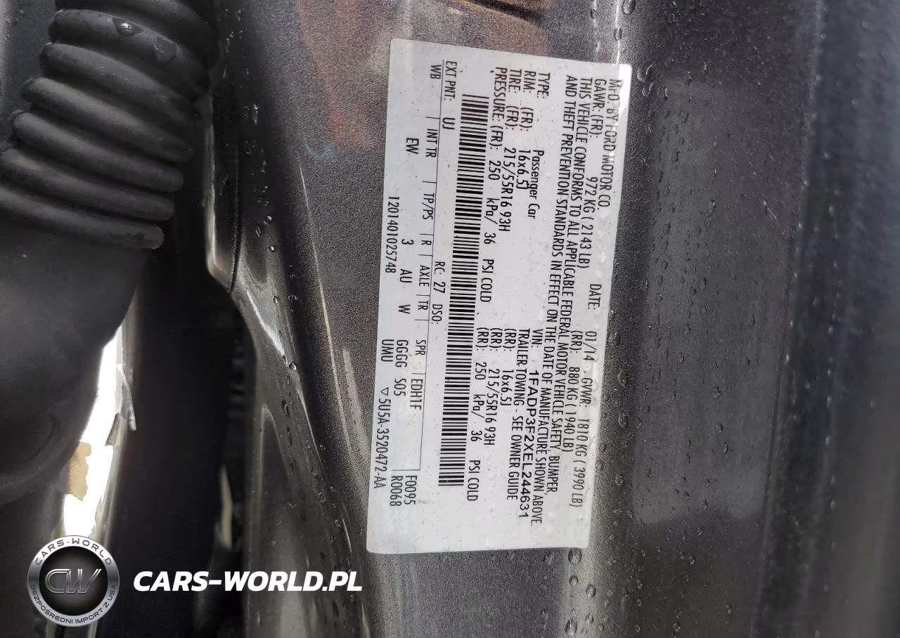 2014 Ford Focus Se VIN:1FADP3F2XEL244631 - 12