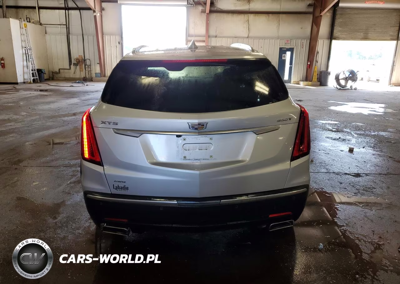 2020 Cadillac Xt5 Luxury VIN:1GYKNBR45LZ184115 - 6