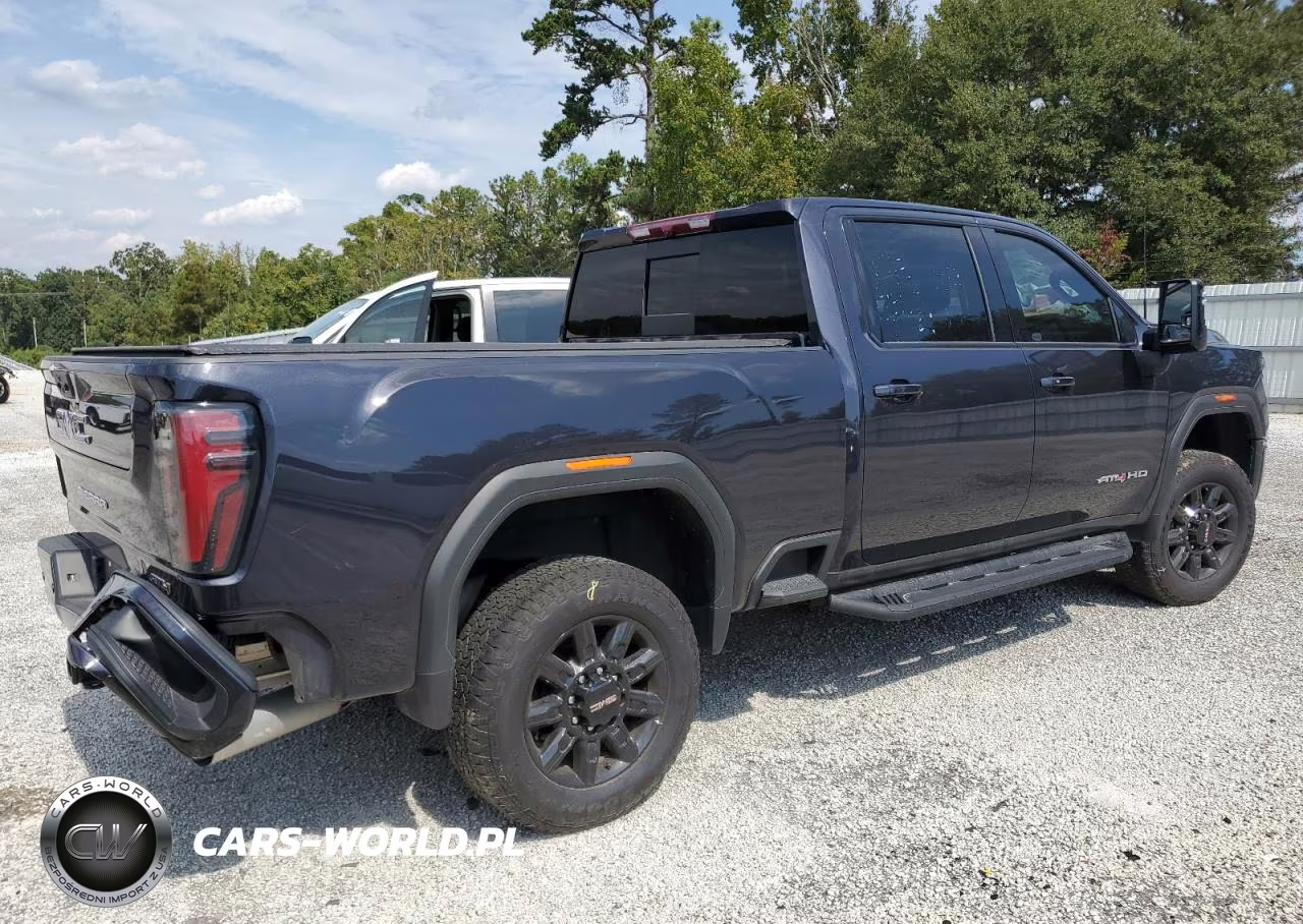 2024 GMC Sierra K2500 At4 VIN:1GT49PEY9RF331300 - 3