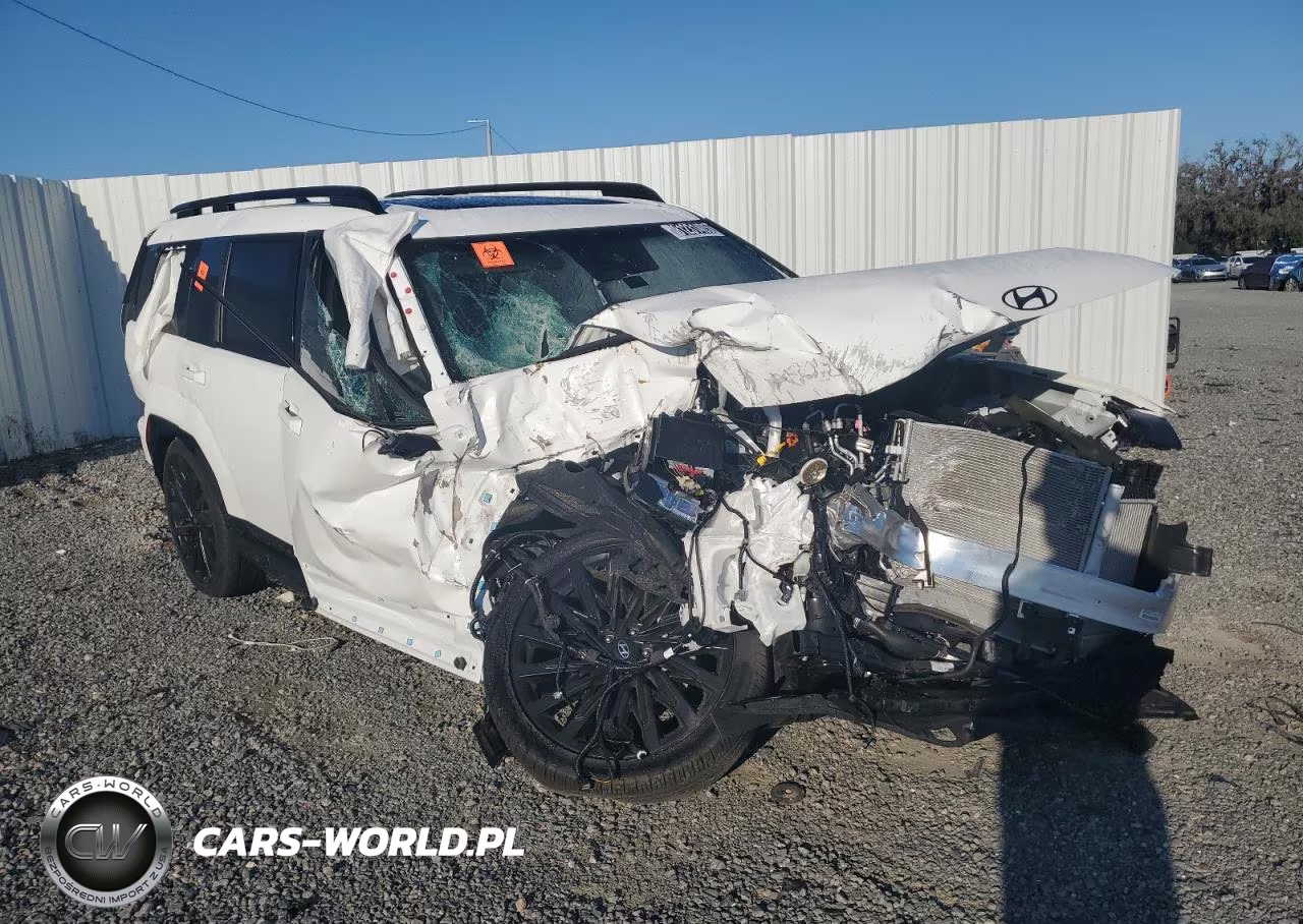 2025 Hyundai Santa Fe Calligraphy VIN:5NMP54GL8SH079301 - 4