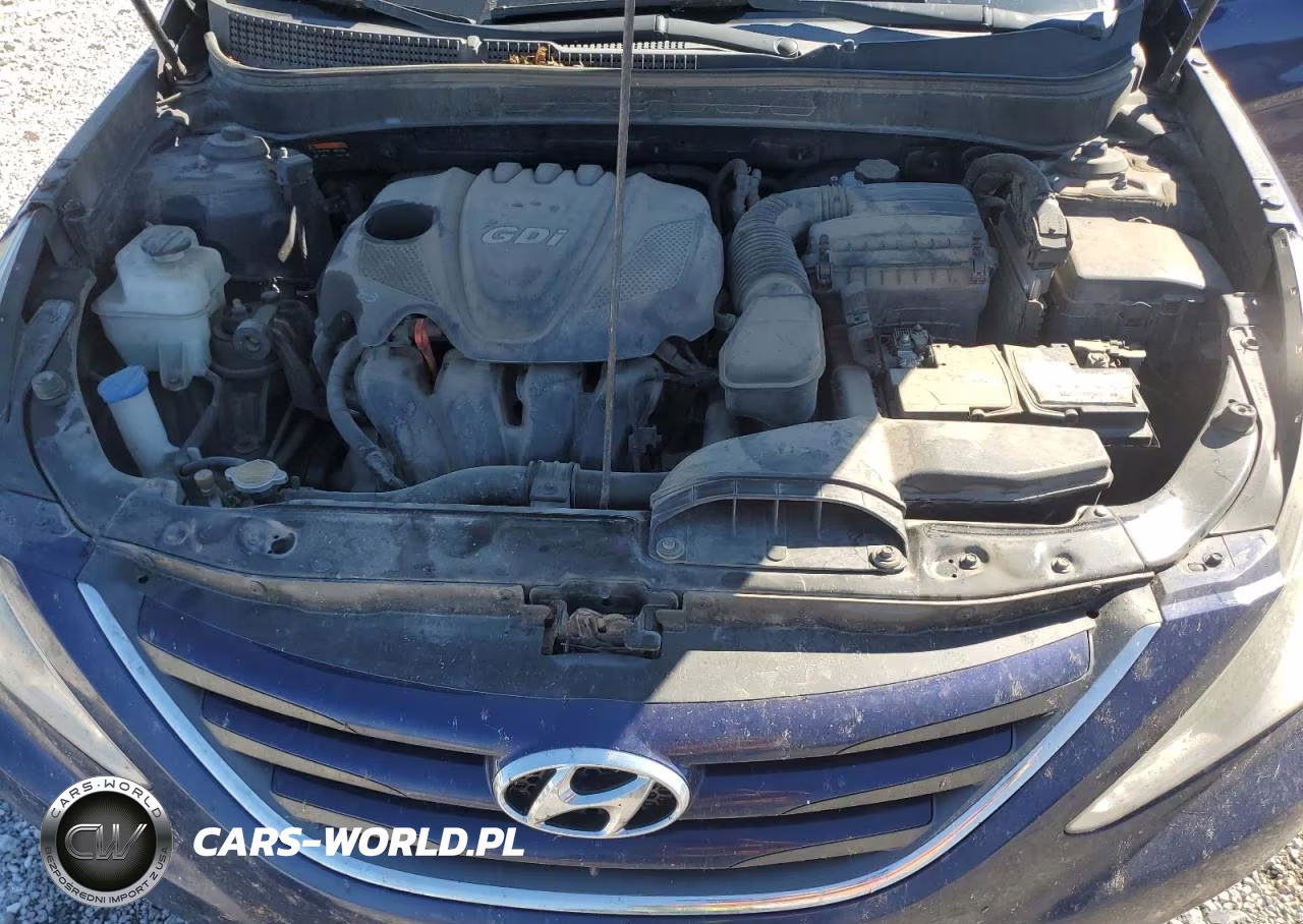 2014 Hyundai Sonata Gls VIN:5NPEB4AC9EH891318 - 11