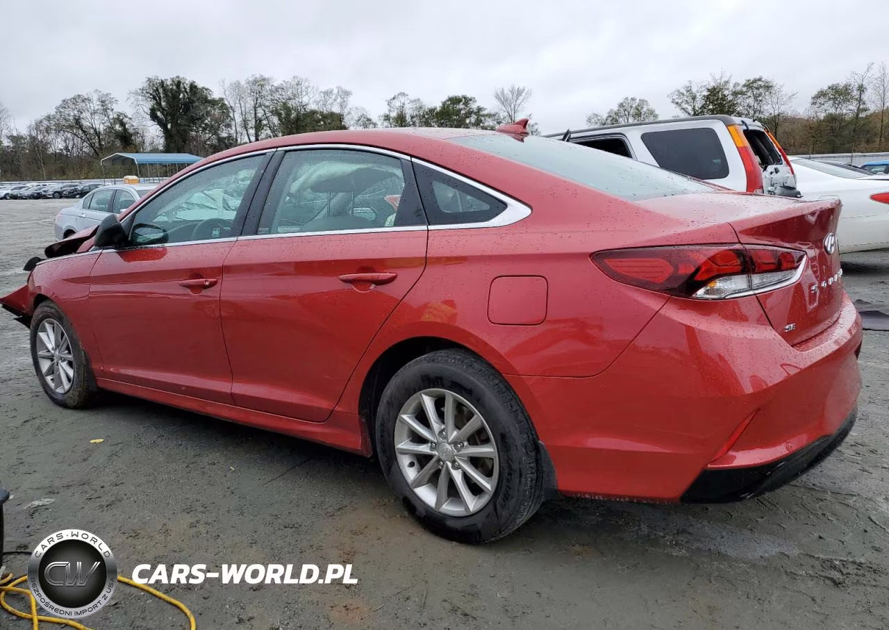 2019 Hyundai Sonata Se VIN:5NPE24AFXKH819730 - 2