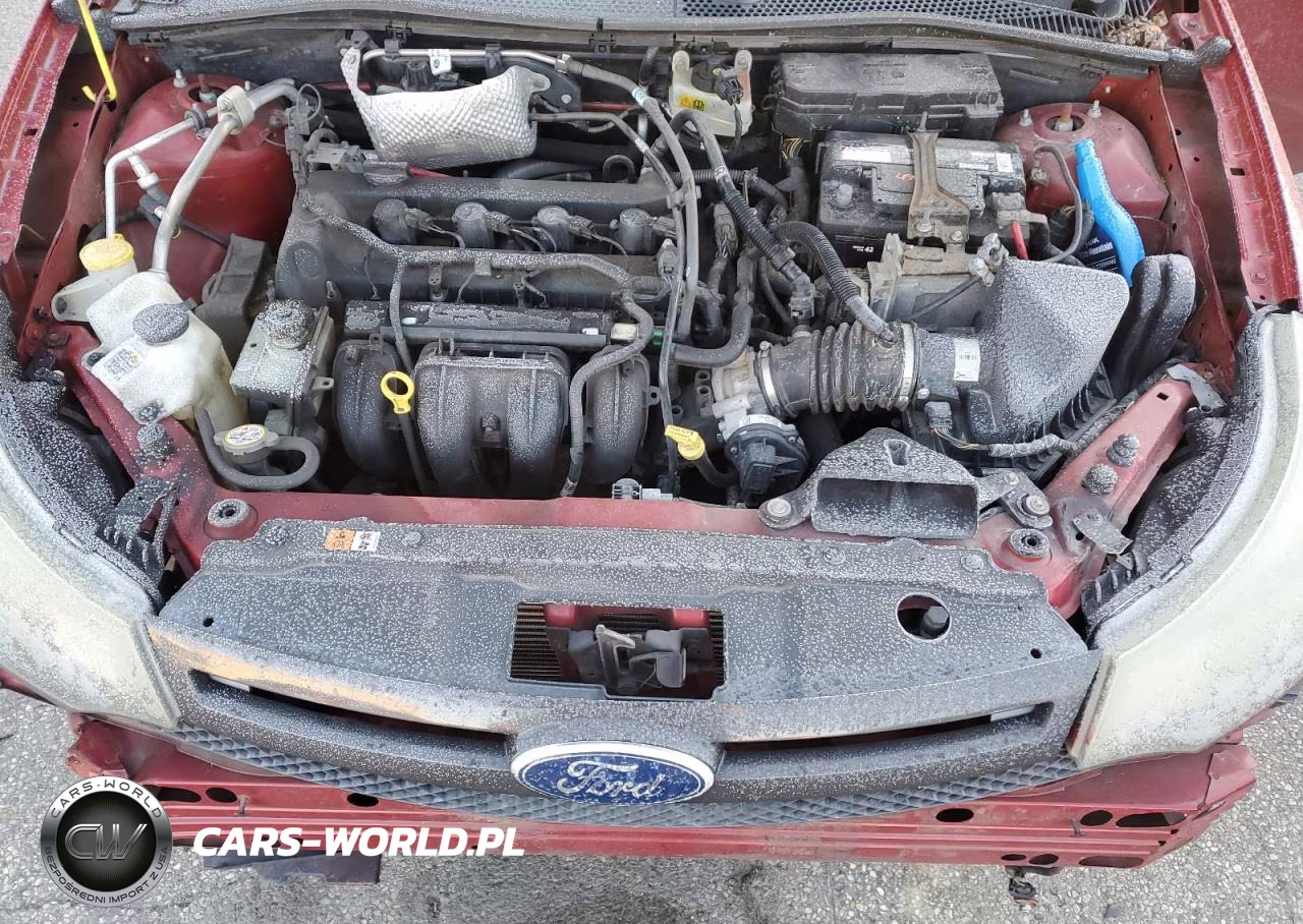 2011 Ford Focus Ses VIN:1FAHP3GNXBW175024 - 11