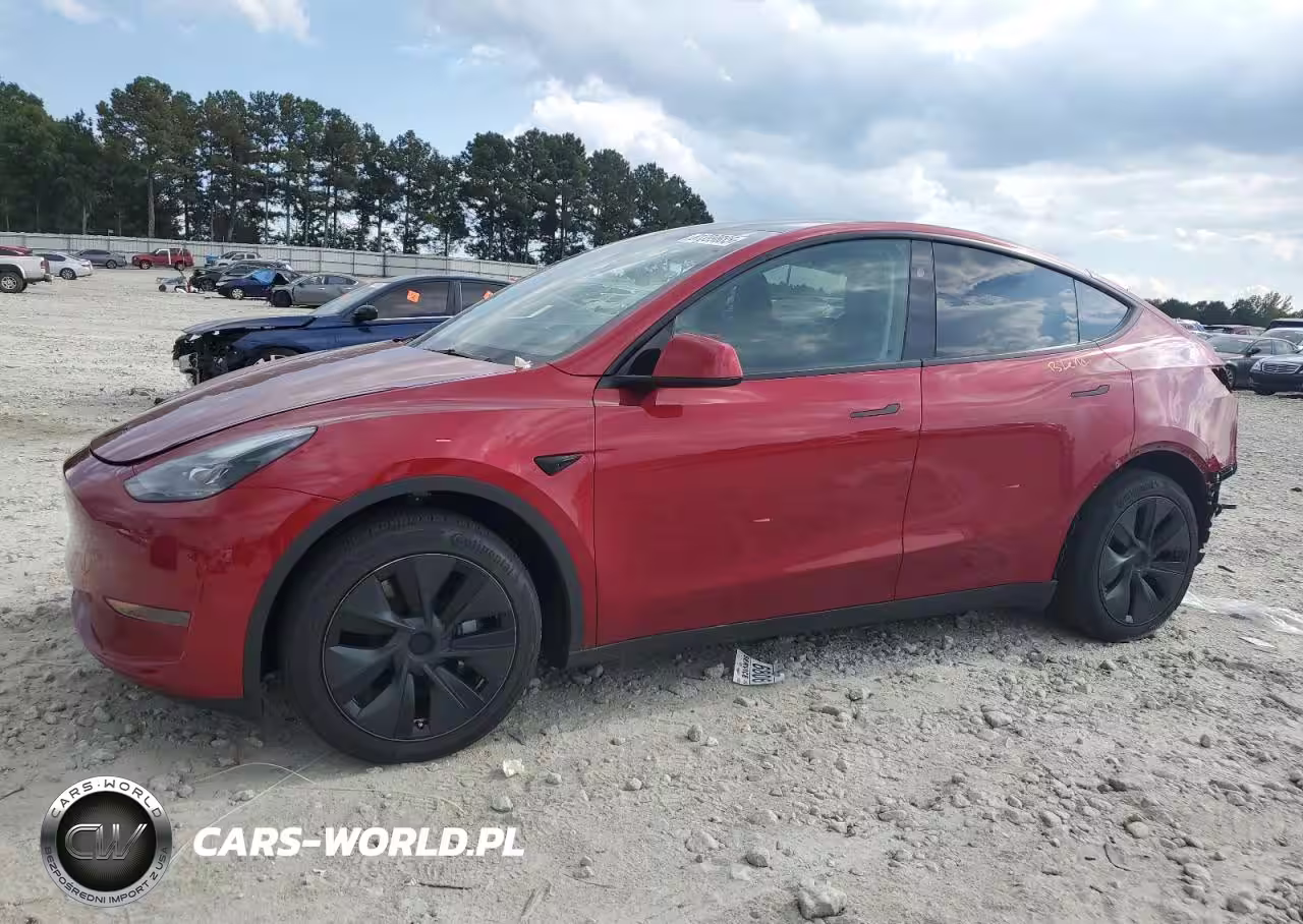 2024 Tesla Model Y