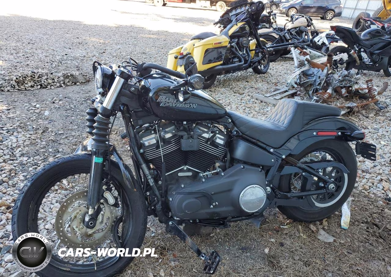 2020 Harley Davidson Mc-Trailer VIN:1HD1YJJ18LB062392 - 3