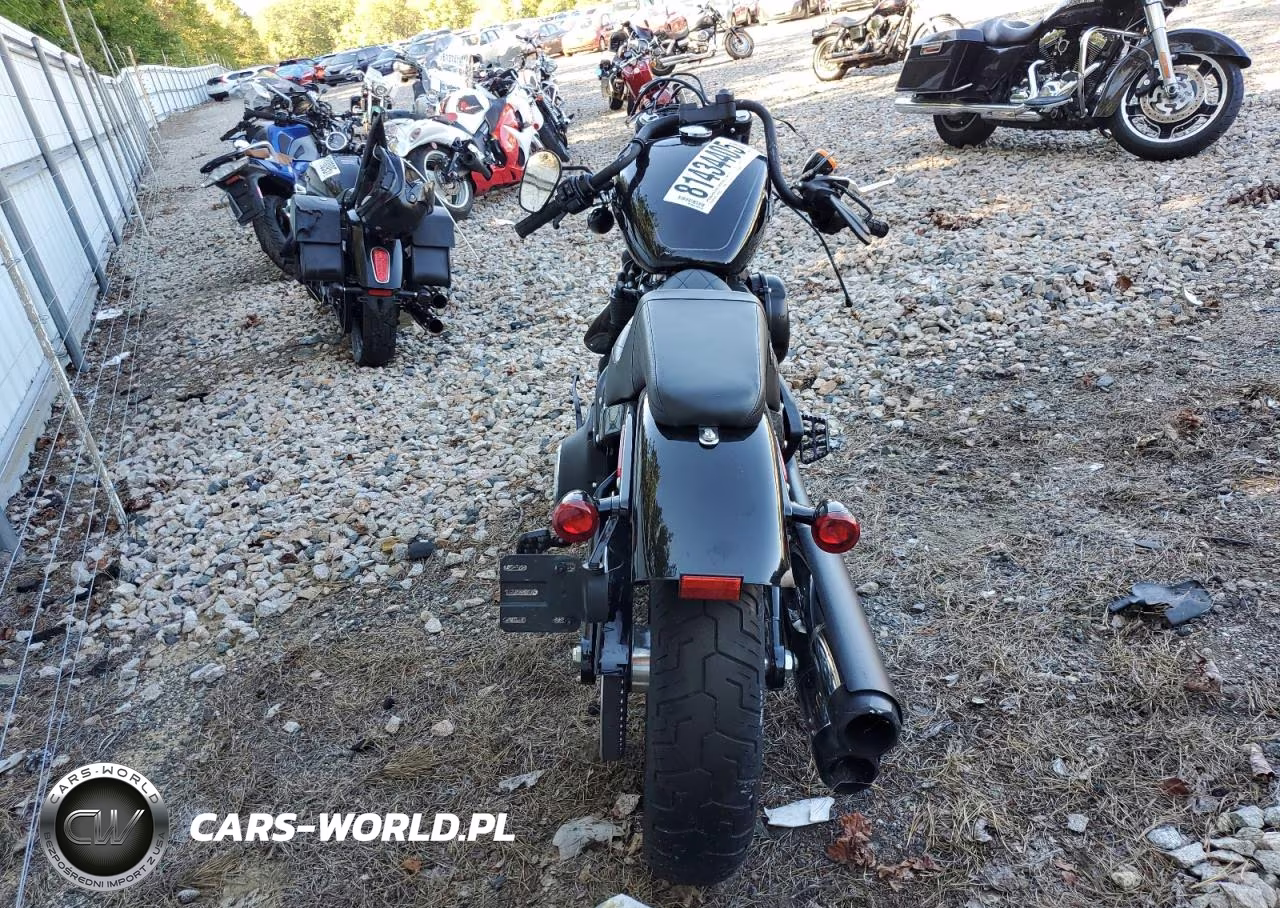 2020 Harley Davidson Mc-Trailer VIN:1HD1YJJ18LB062392 - 4