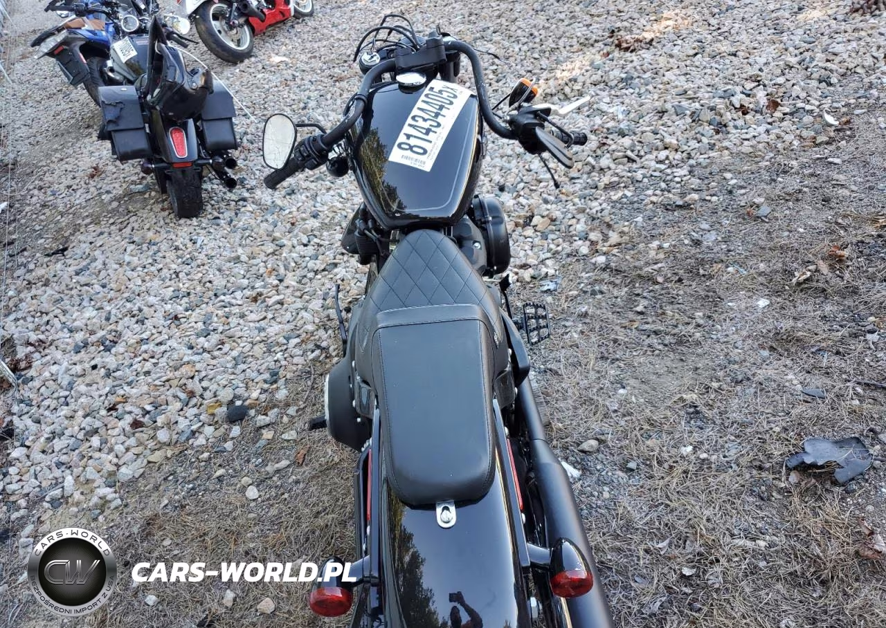 2020 Harley Davidson Mc-Trailer VIN:1HD1YJJ18LB062392 - 6