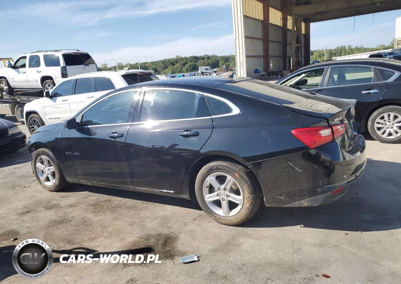 2019 Chevrolet Malibu Ls VIN:1G1ZC5ST2KF174552 - 2