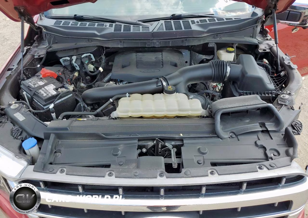 2021 Ford F-150 VIN:1FTFW1E8XMFA69732 - 11