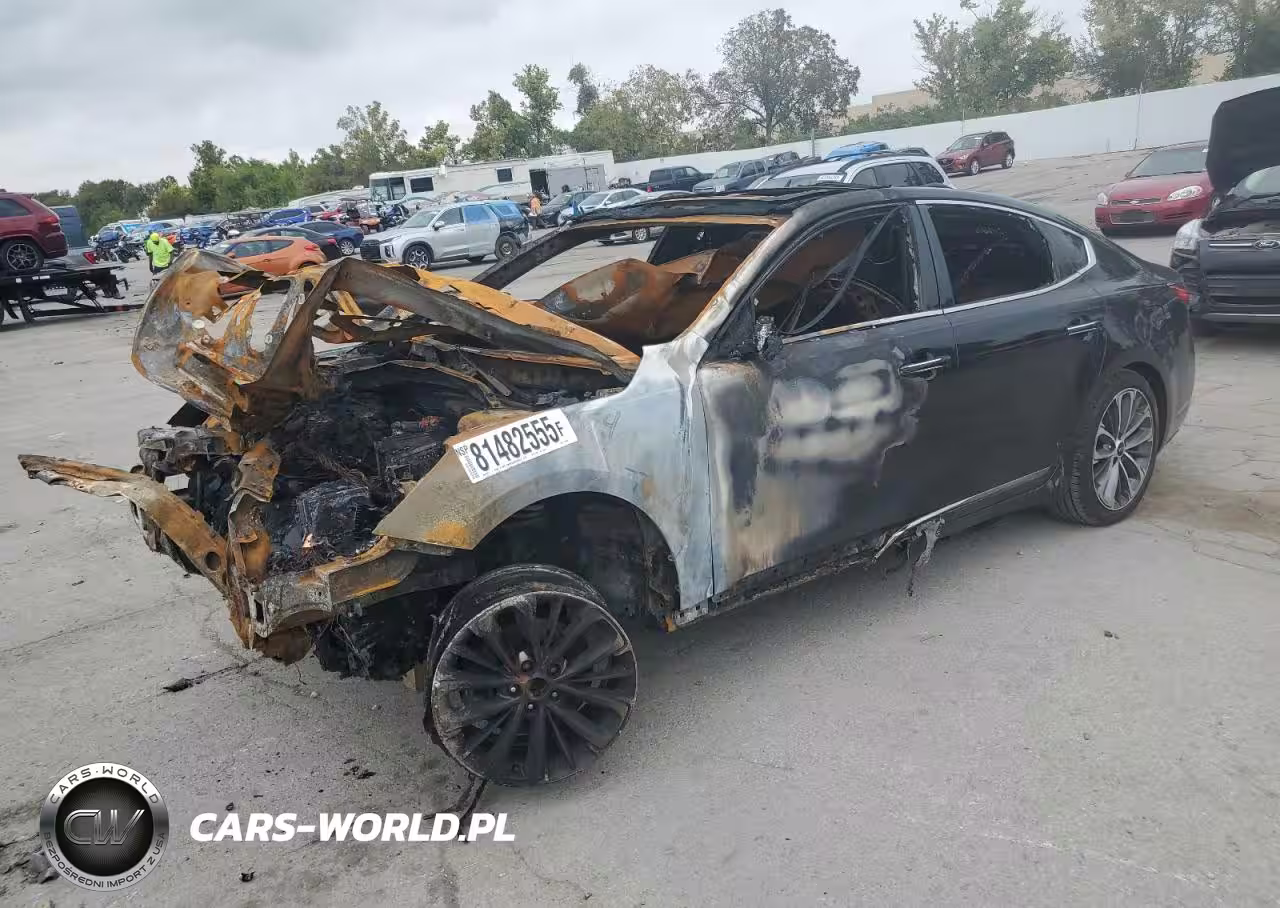 2019 Kia Cadenza Luxury