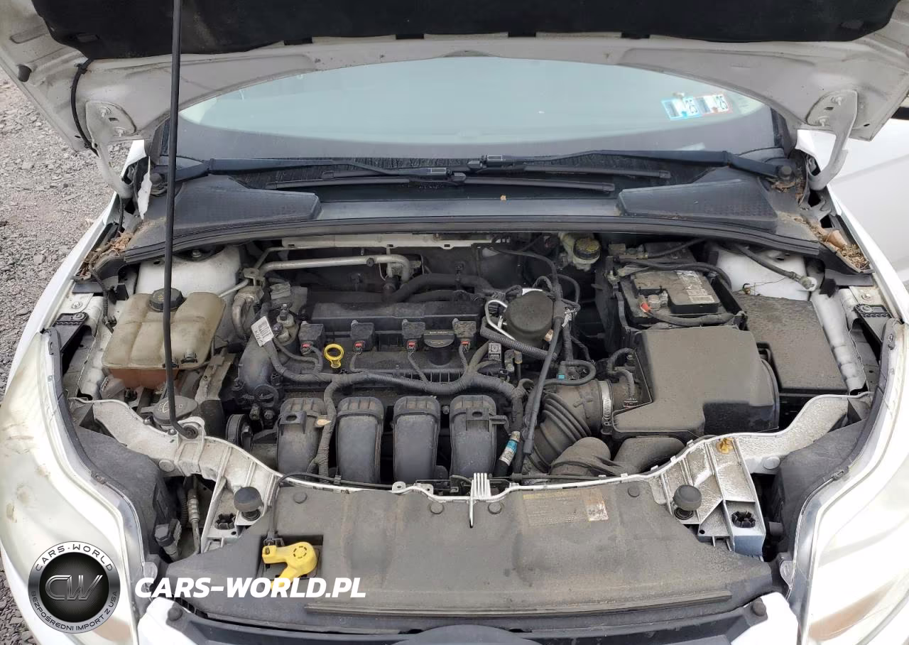 2014 Ford Focus Se VIN:1FADP3F2XEL226839 - 12
