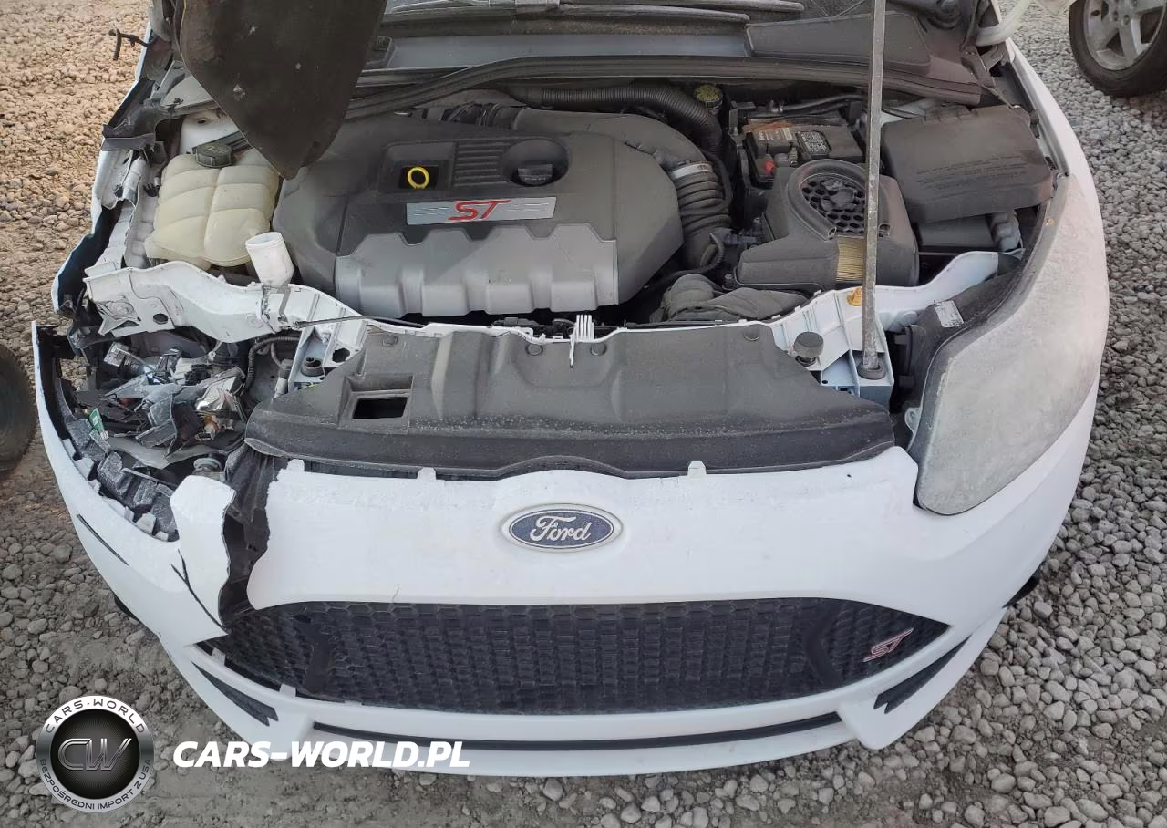 2014 Ford Focus St VIN:1FADP3L96EL463149 - 11