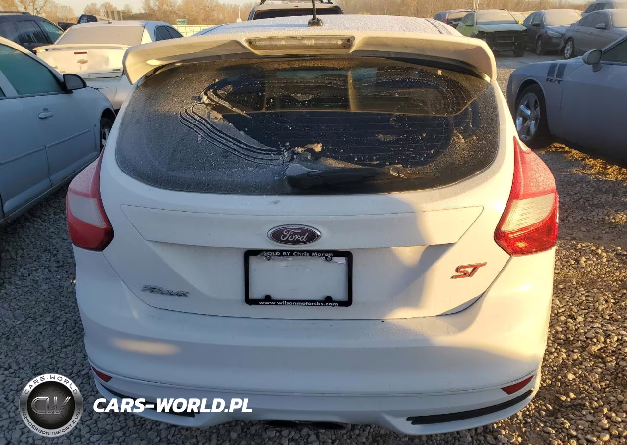 2014 Ford Focus St VIN:1FADP3L96EL463149 - 6