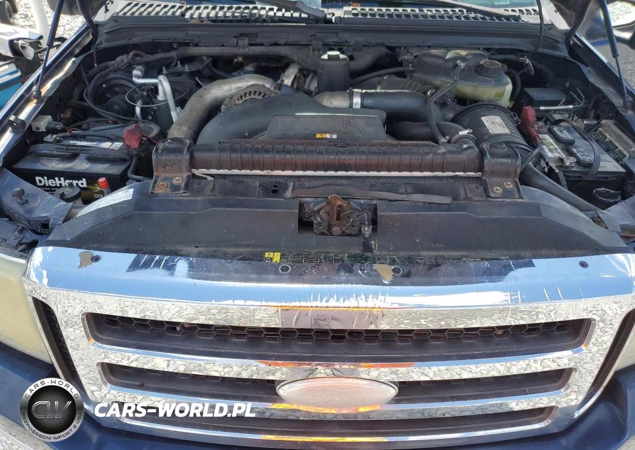2006 Ford F250 Super Duty VIN:1FTSW21P56EA81183 - 11