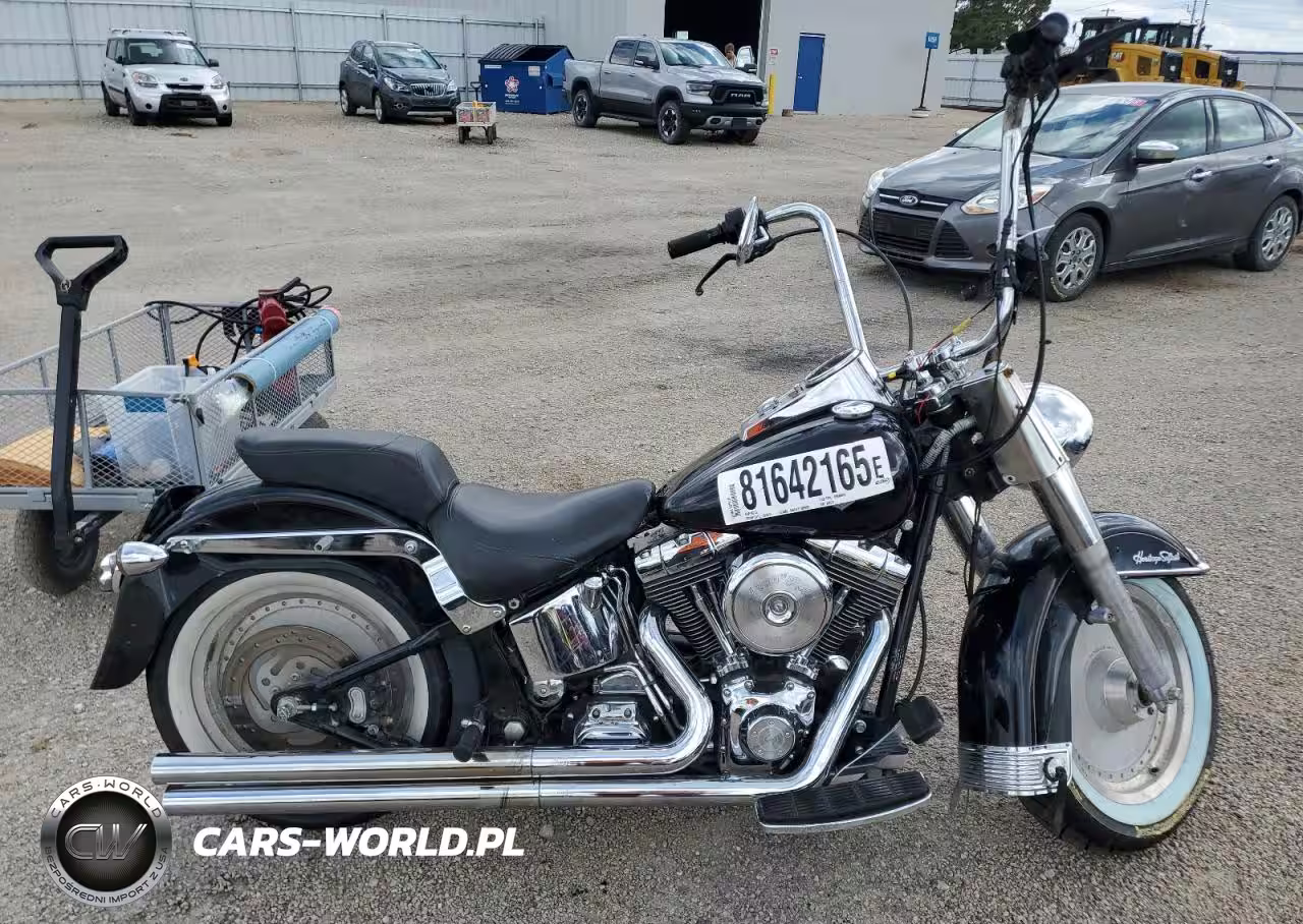 2002 Harley-Davidson Flstfi