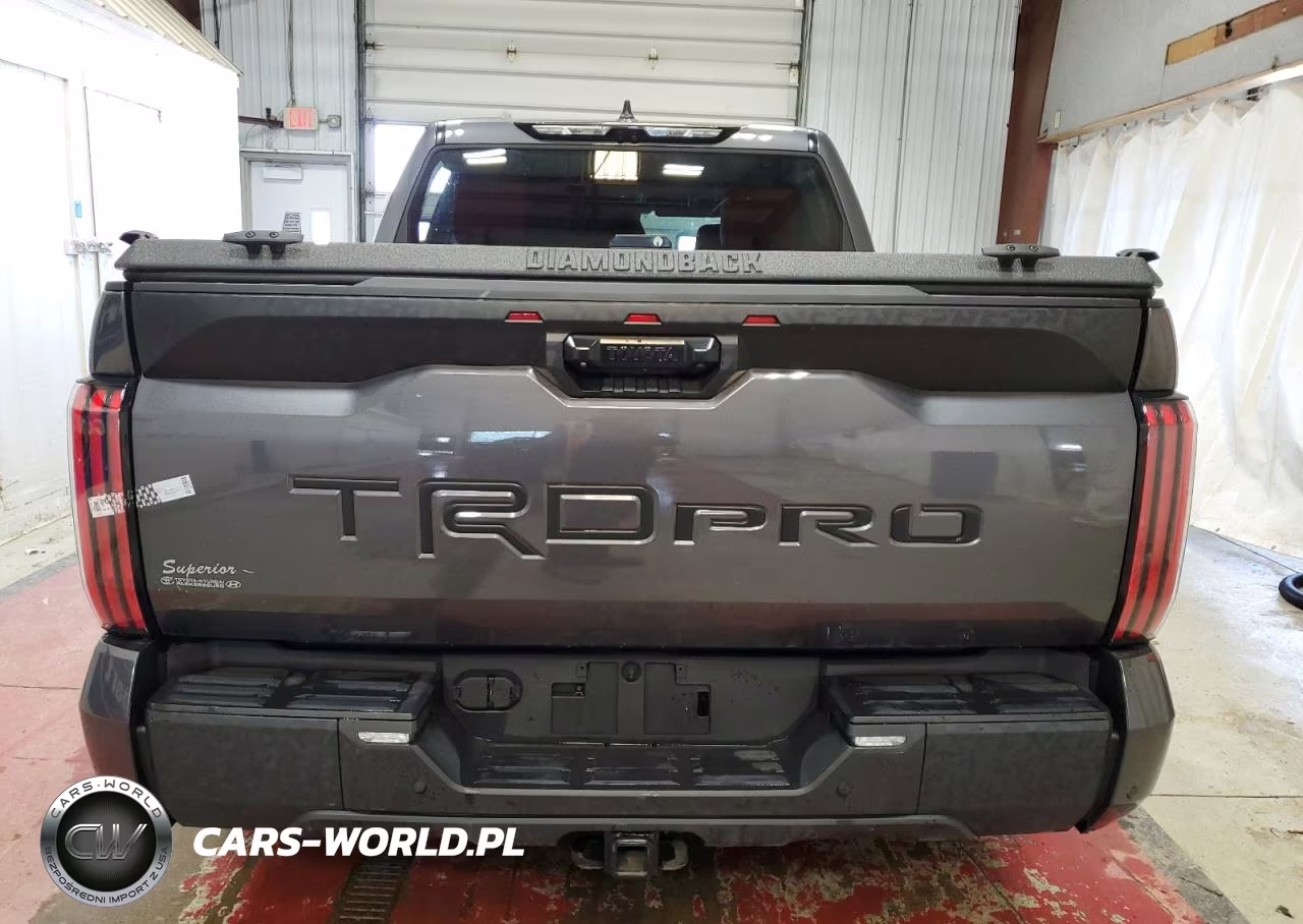 2024 Toyota Tundra Trd Pro Hv VIN:5TFPC5DB0RX054157 - 6