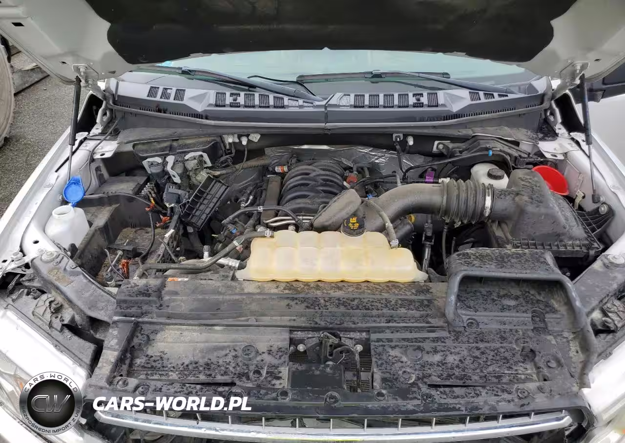 2019 Ford F150 Supercrew VIN:1FTEW1E52KFA38764 - 11