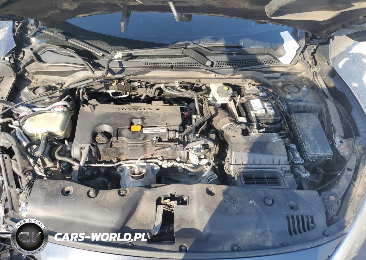 2017 Honda Civic Lx VIN:2HGFC2F52HH503702 - 11