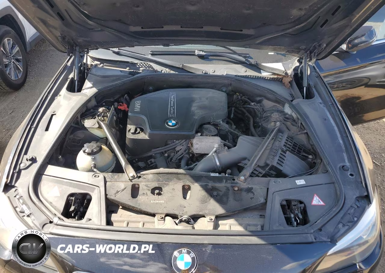 2014 BMW 528 Xi VIN:WBA5A7C56ED219853 - 11