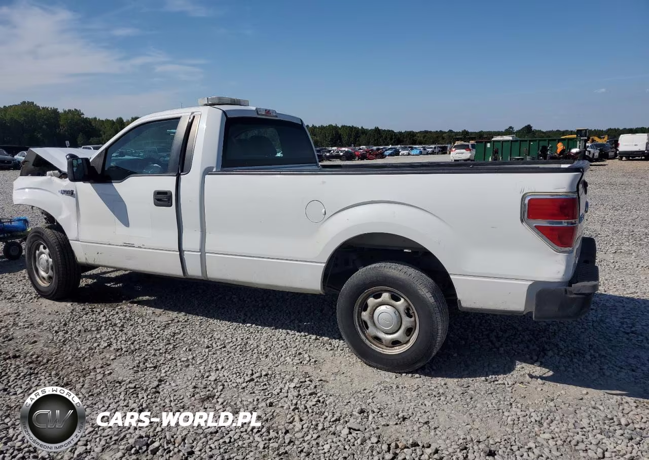 2013 Ford F150 VIN:1FTNF1CF6DKF06050 - 2