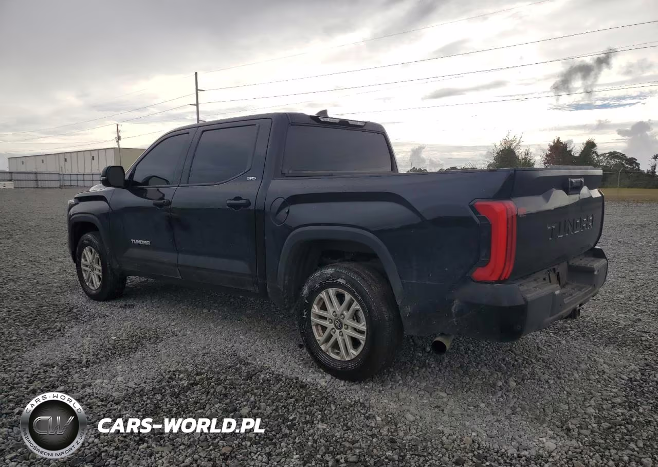 2025 Toyota Tundra Crewmax Sr VIN:5TFLA5AB5SX046294 - 2