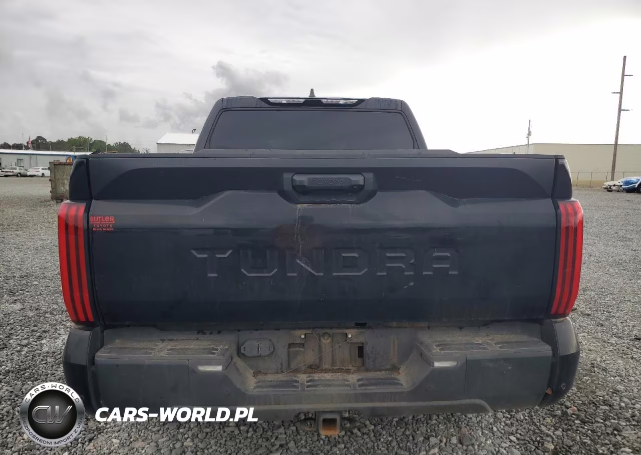 2025 Toyota Tundra Crewmax Sr VIN:5TFLA5AB5SX046294 - 6