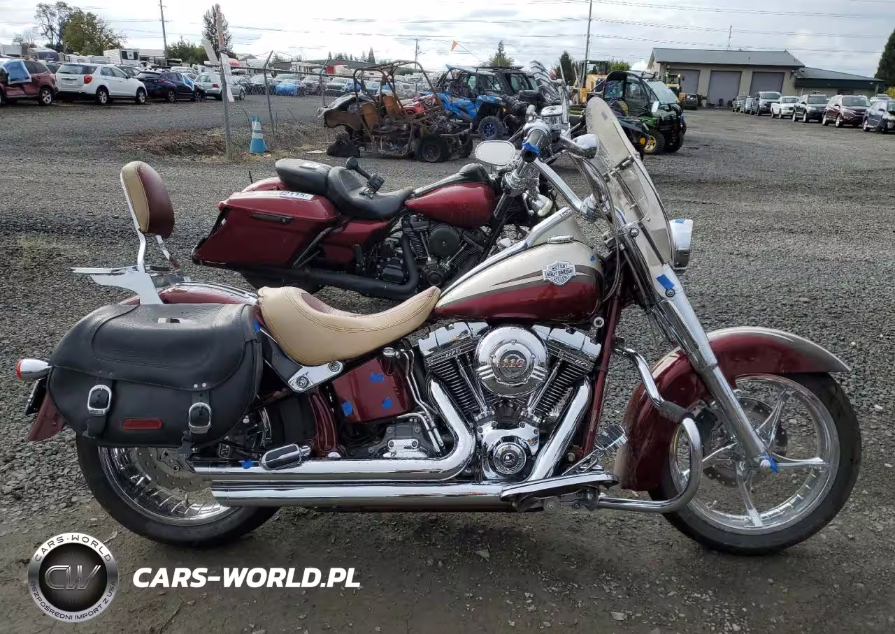 2010 Harley-Davidson Flstse