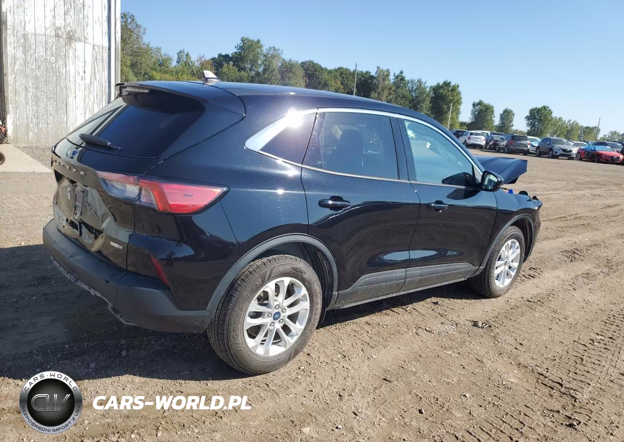 2020 Ford Escape Se VIN:1FMCU9G66LUC03404 - 3