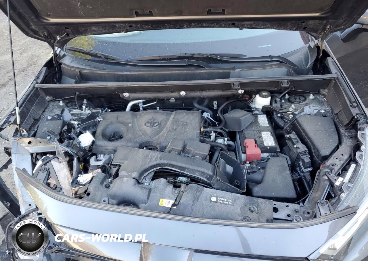 2024 Toyota Rav4 Xle VIN:2T3P1RFV3RC394462 - 12
