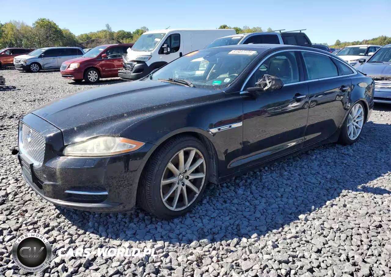 JAGUAR