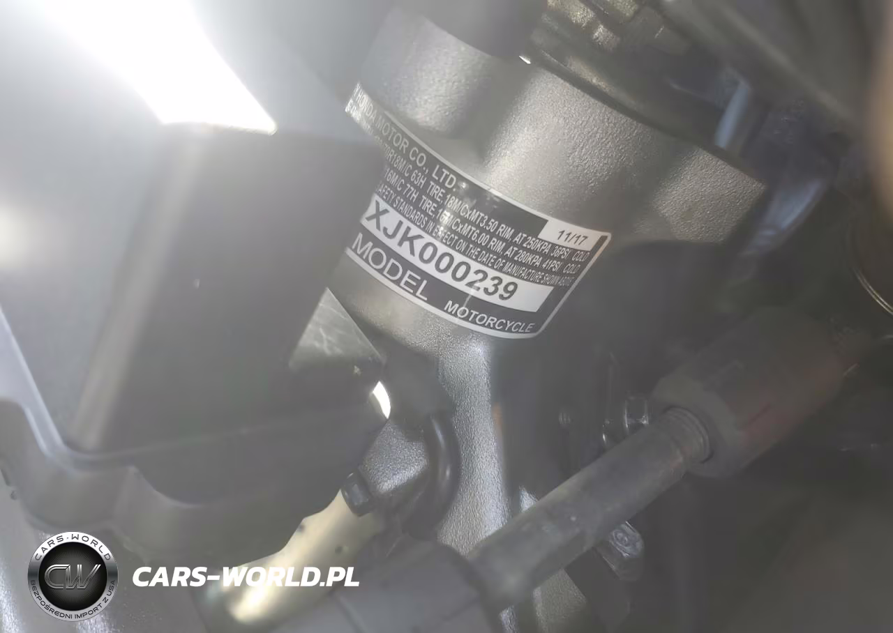 2018 Honda Gl1800 VIN:JH2SC790XJK000239 - 9