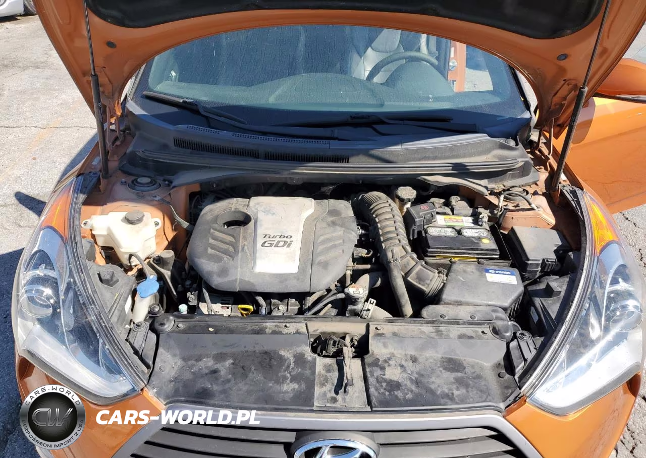 2016 Hyundai Veloster Turbo VIN:KMHTC6AE9GU257173 - 12