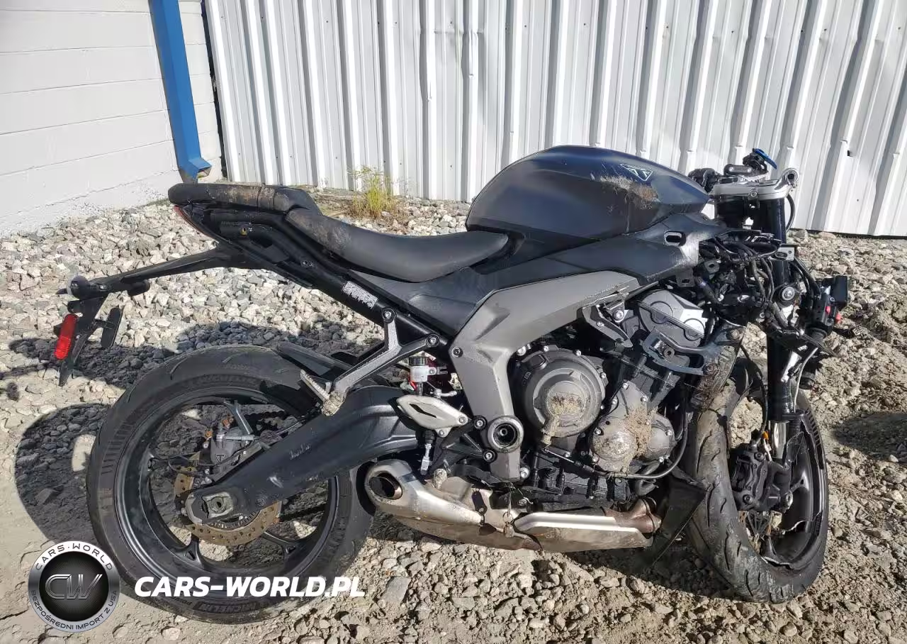 2025 Triumph Motorcycle Daytona 660